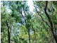 38 Koonwarra Parade, Macleay Island QLD 4184