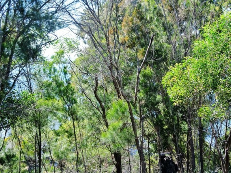38 Koonwarra Parade, Macleay Island QLD 4184