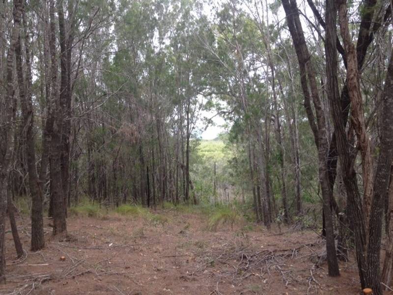 22 Timothy Street, Macleay Island QLD 4184