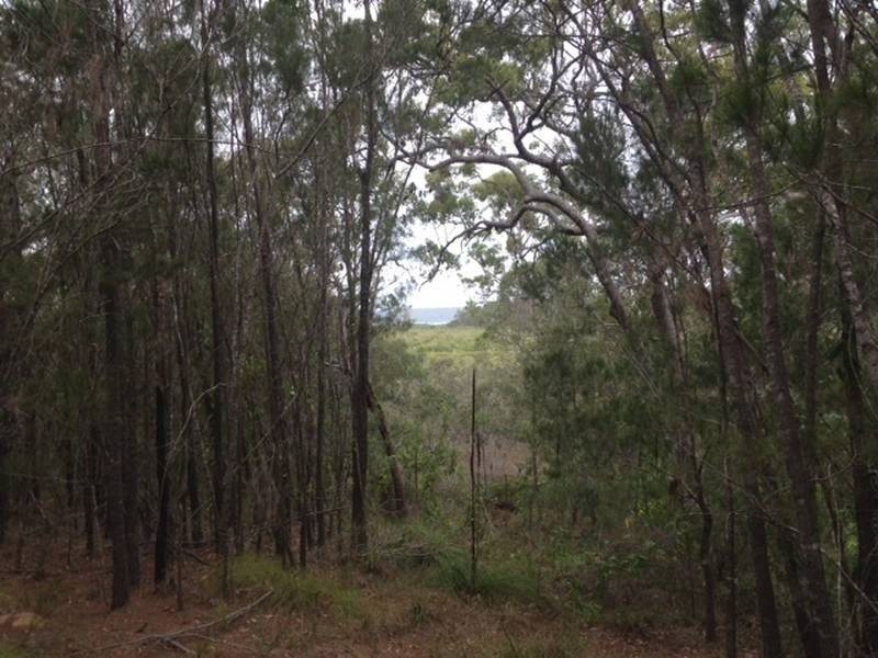 22 Timothy Street, Macleay Island QLD 4184