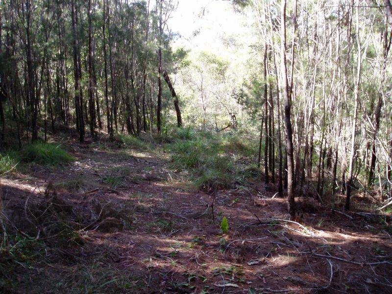 22 Timothy Street, Macleay Island QLD 4184