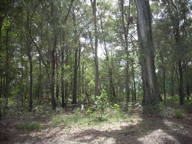 25 Harvey Street, Russell Island QLD 4184