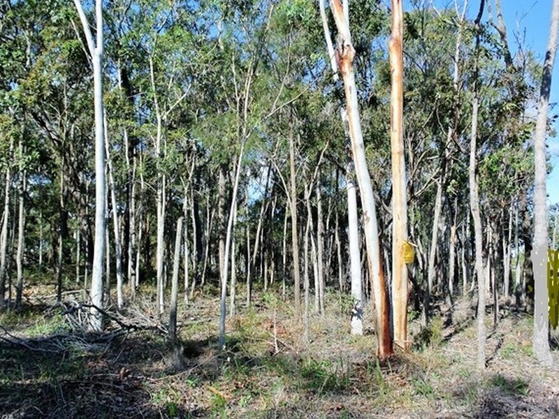 212 Kate Street, Macleay Island QLD 4184