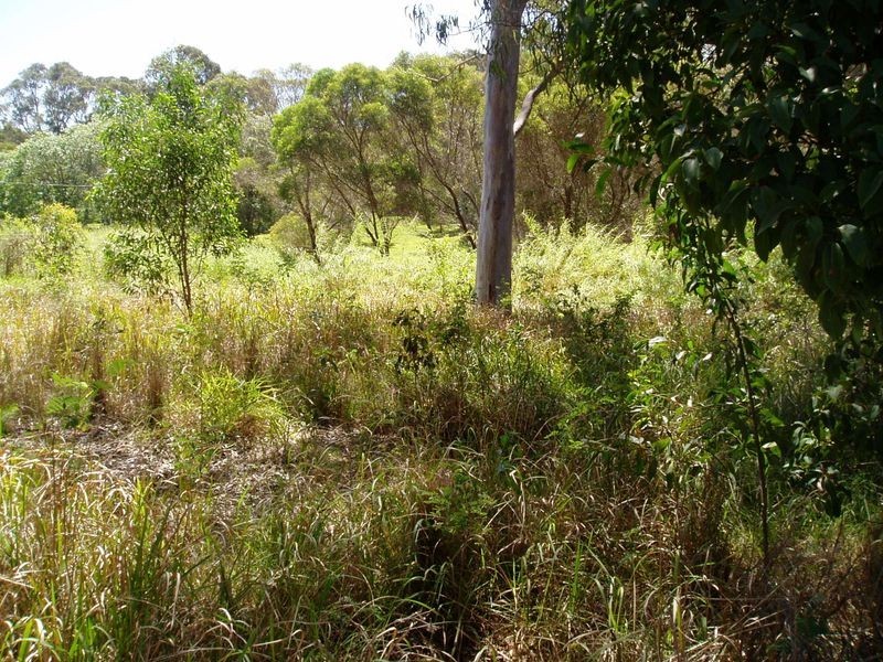 11 Eastern Road, Macleay Island QLD 4184