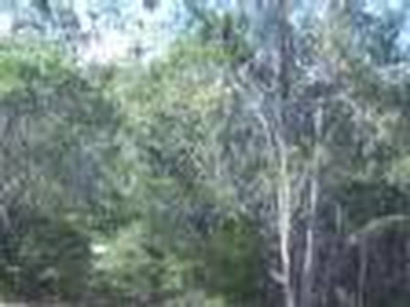 55 Fern Terrace, Russell Island QLD 4184
