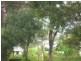 55 Fern Terrace, Russell Island QLD 4184