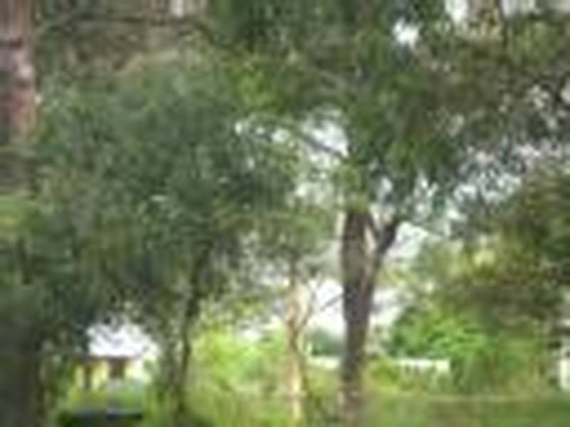 55 Fern Terrace, Russell Island QLD 4184