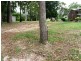 43 Coondooroopa Drive, Macleay Island QLD 4184