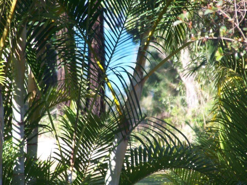 35 Kardinia, Macleay Island QLD 4184