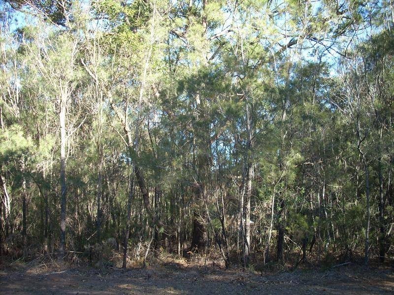 38 Tahlin Drive, Russell Island QLD 4184