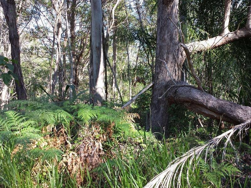 18 Gilcrest Road, Russell Island QLD 4184