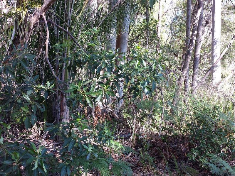 18 Gilcrest Road, Russell Island QLD 4184