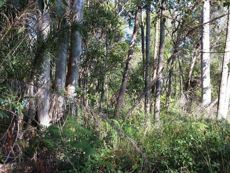 18 Gilcrest Road, Russell Island QLD 4184