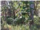 23 Gilcrest Road, Russell Island QLD 4184