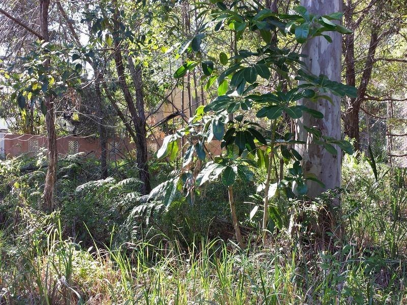23 Gilcrest Road, Russell Island QLD 4184