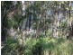 23 Gilcrest Road, Russell Island QLD 4184