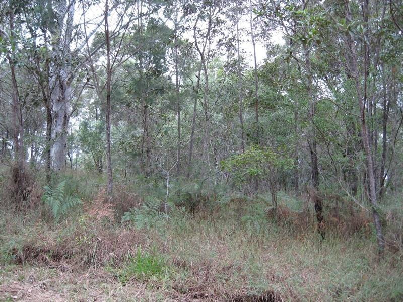 44 Jingella Avenue, Russell Island QLD 4184