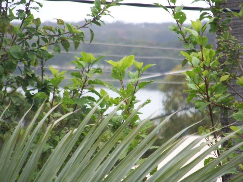 Macleay Island QLD 4184