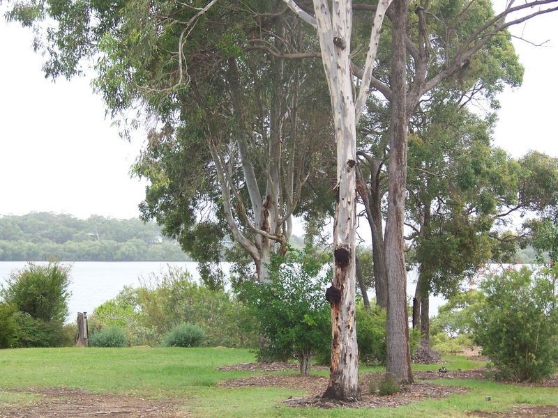 Macleay Island QLD 4184