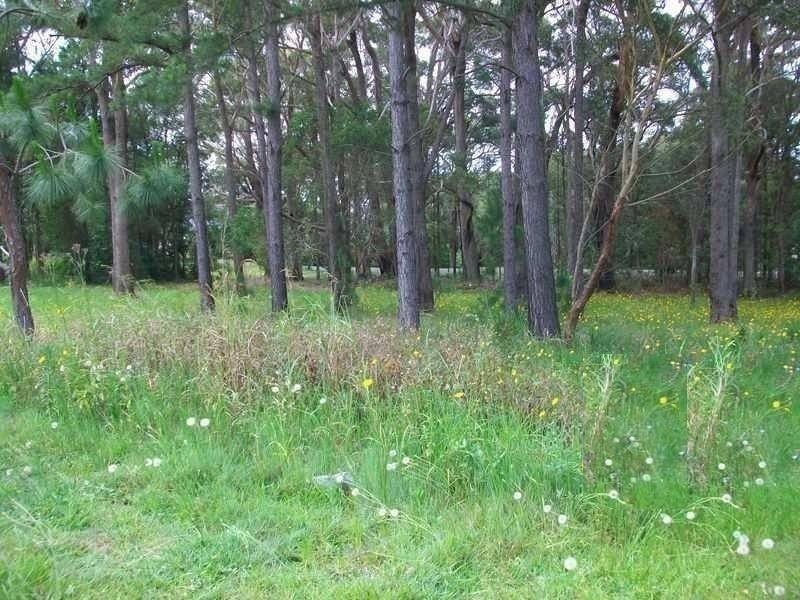 17 Nicholas Street, Russell Island QLD 4184