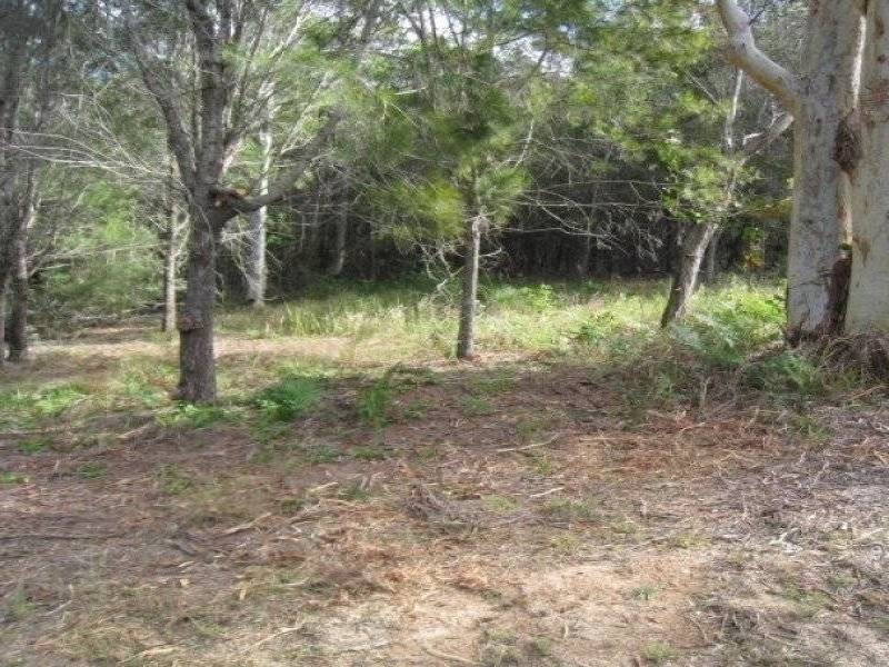 50 Jasper Street, Russell Island QLD 4184