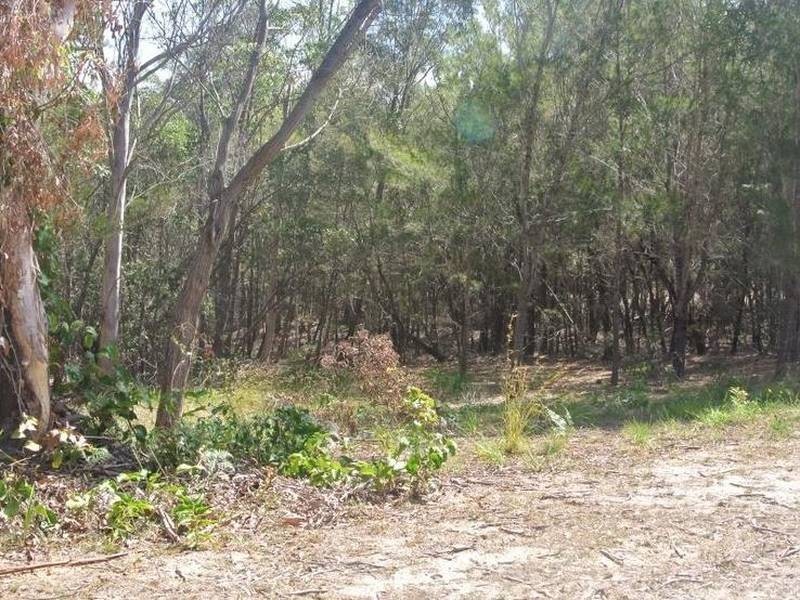 50 Jasper Street, Russell Island QLD 4184