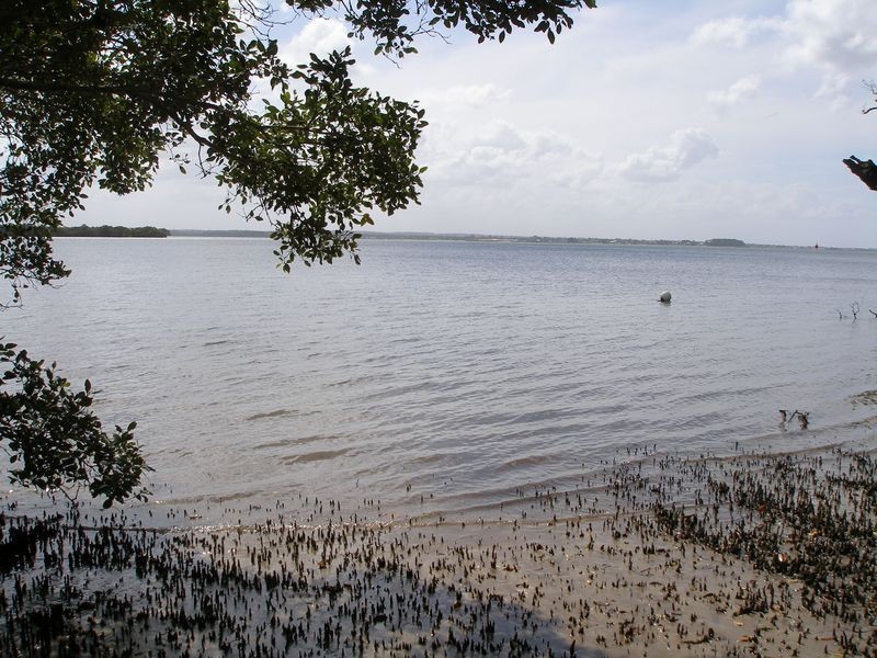 15 Coast Road, Macleay Island QLD 4184