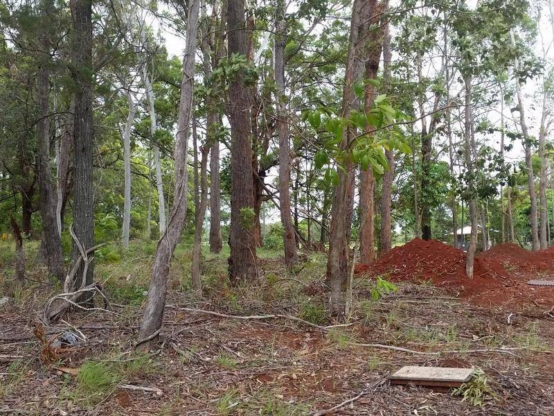 13 Meadstone Street, Russell Island QLD 4184
