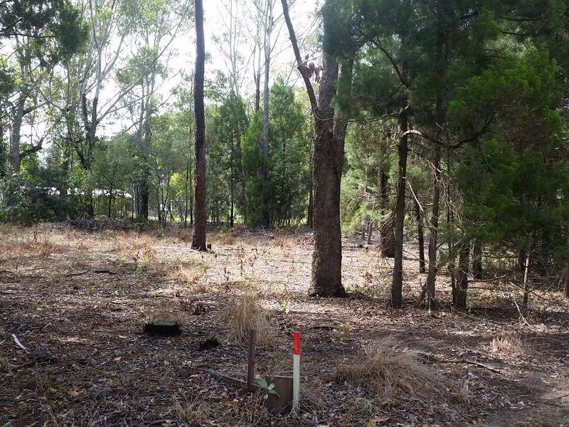 46 Lau Street, Russell Island QLD 4184