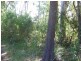 1 Walnut Court, Macleay Island QLD 4184