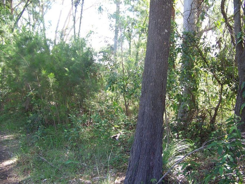 1 Walnut Court, Macleay Island QLD 4184
