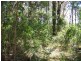 1 Walnut Court, Macleay Island QLD 4184
