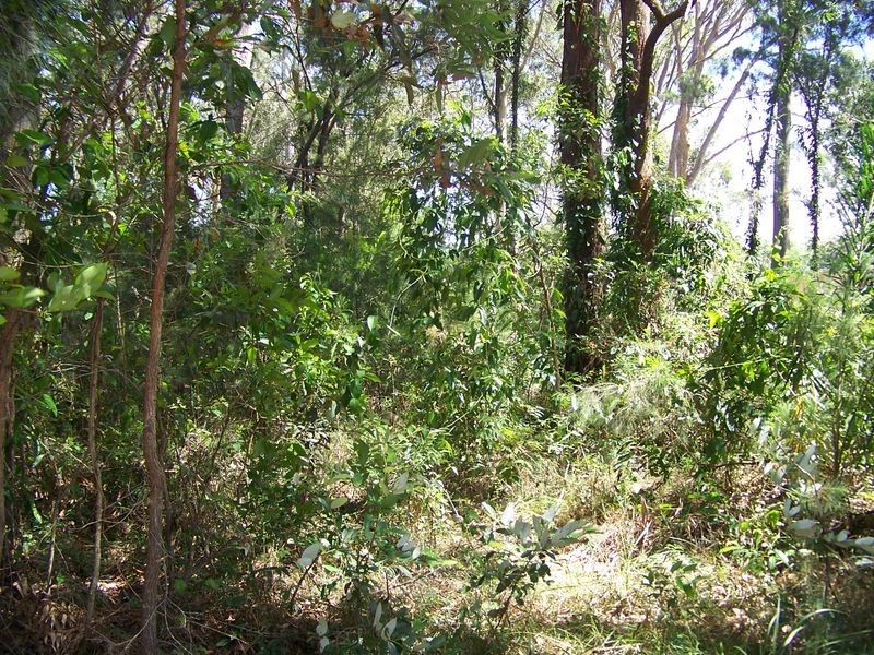 1 Walnut Court, Macleay Island QLD 4184