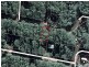 34 Wentworth Parade, Russell Island QLD 4184