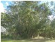 21 Sundown Road, Russell Island QLD 4184
