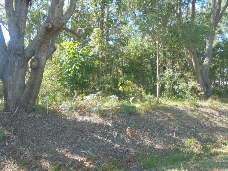 51 Vista Street, Russell Island QLD 4184