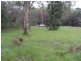 9 Benowa Street, Macleay Island QLD 4184