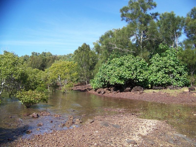 65 Coondooroopa Drive, Macleay Island QLD 4184