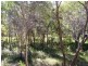 77 Coondooroopa Drive, Macleay Island QLD 4184