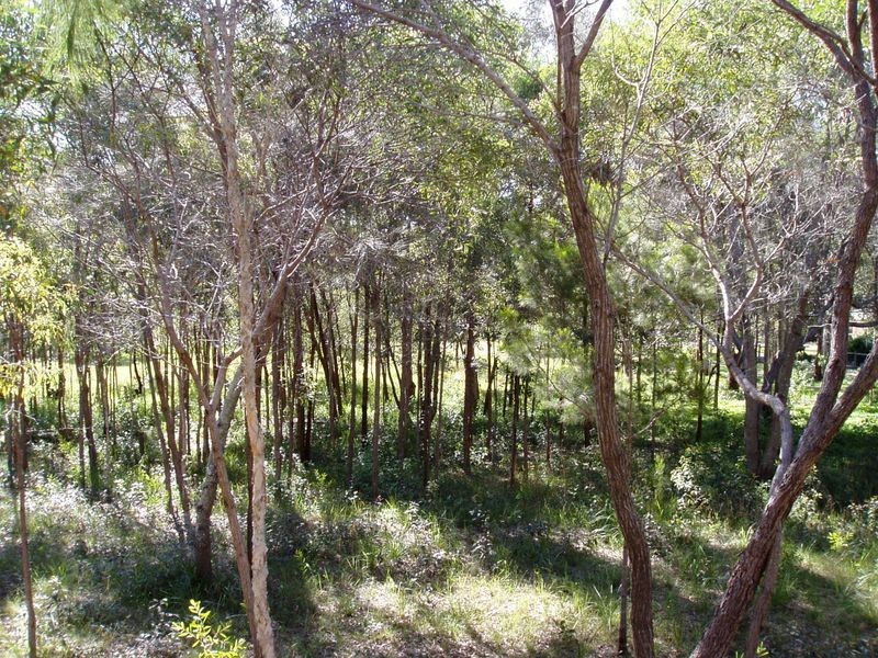 77 Coondooroopa Drive, Macleay Island QLD 4184