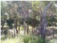 77 Coondooroopa Drive, Macleay Island QLD 4184