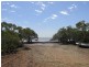 26 Blue Bay Crescent, Macleay Island QLD 4184
