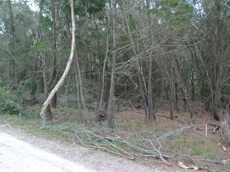 21 Nunkeri Drive, Macleay Island QLD 4184