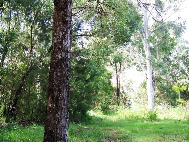 4 Acacia ct, Macleay Island QLD 4184