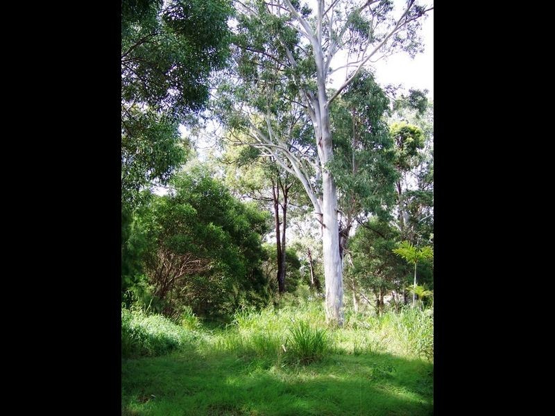 4 Acacia ct, Macleay Island QLD 4184