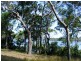 97 Beelong Street, Macleay Island QLD 4184
