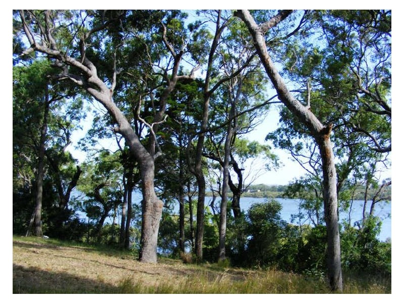 97 Beelong Street, Macleay Island QLD 4184