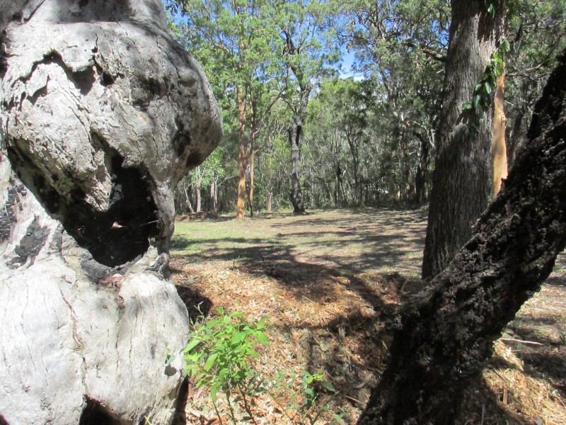 7 Natone Terrace, Macleay Island QLD 4184