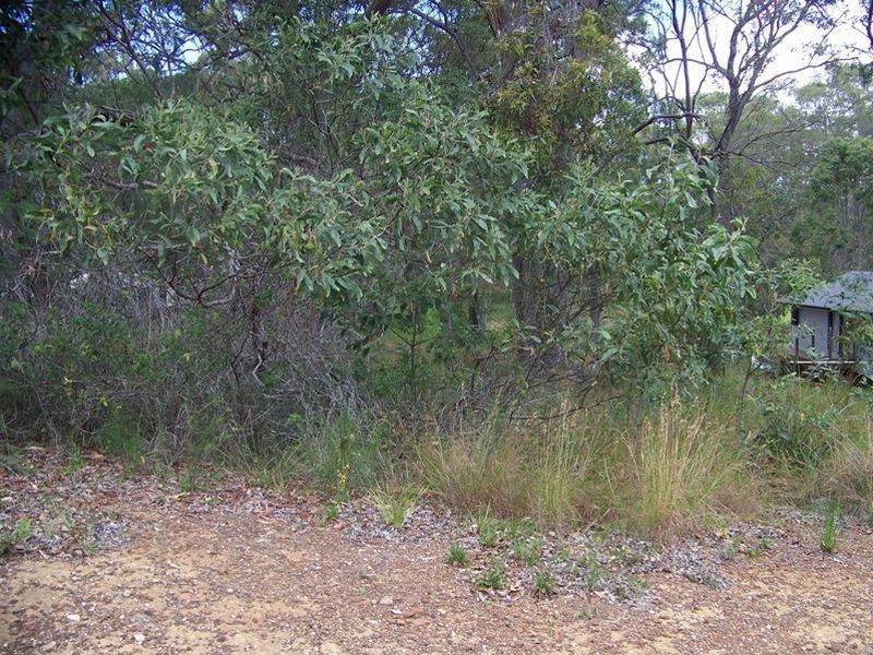 19 Belar Street, Lamb Island QLD 4184