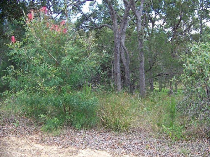 19 Belar Street, Lamb Island QLD 4184